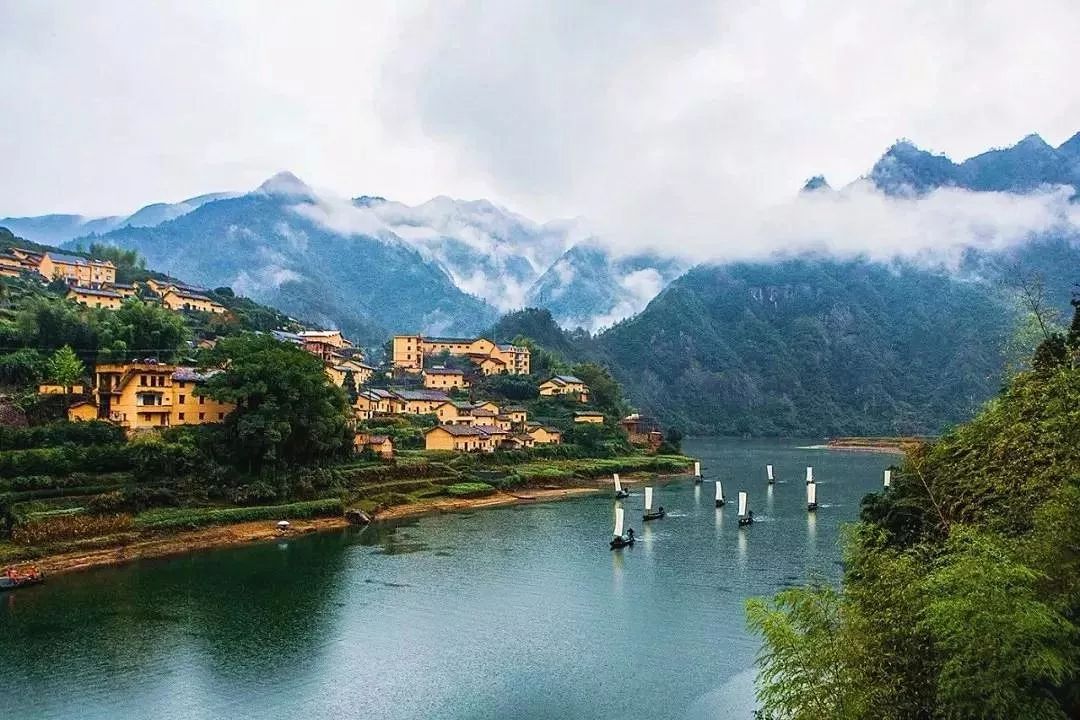 浙江之光,高科技革新重塑生活体验