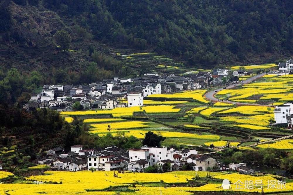 江西古韵,翰墨抒怀,山水风情颂江西