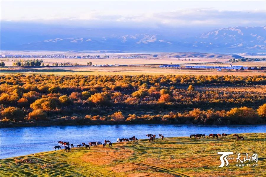 新疆，多彩边疆的魅力与独特风采