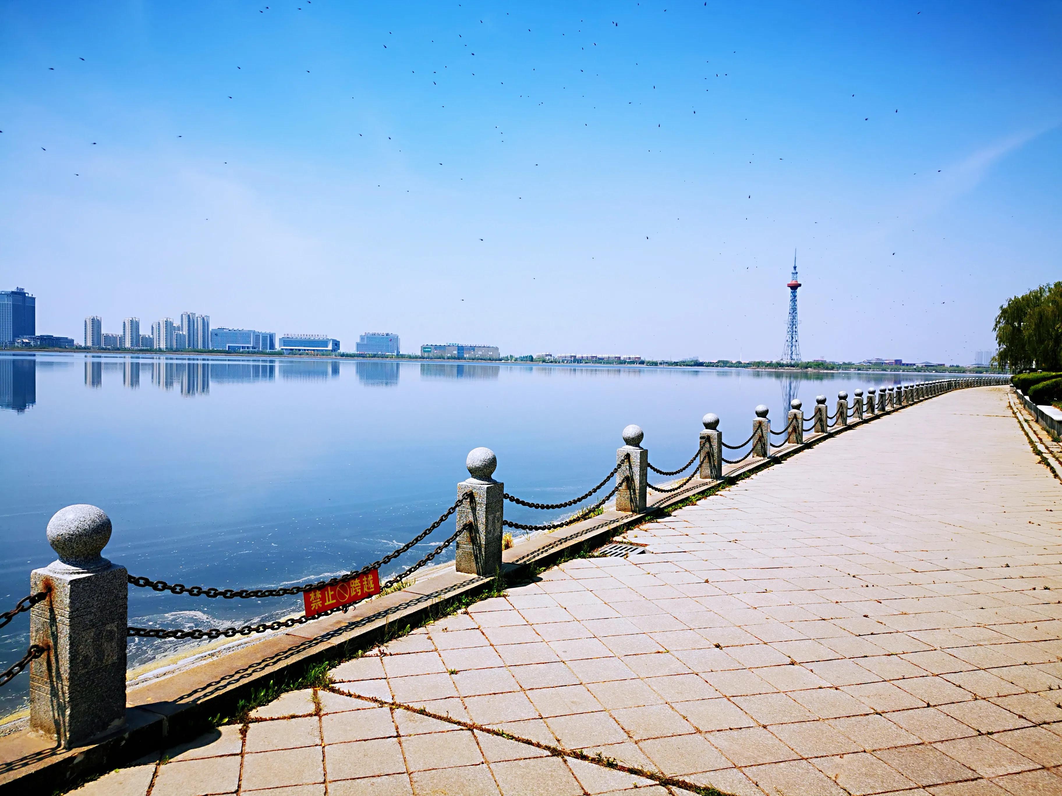 营口概览,城市风采与特色解读