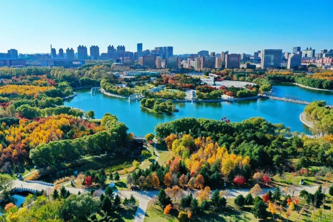 🔥长春,美丽城市的璀璨风采!