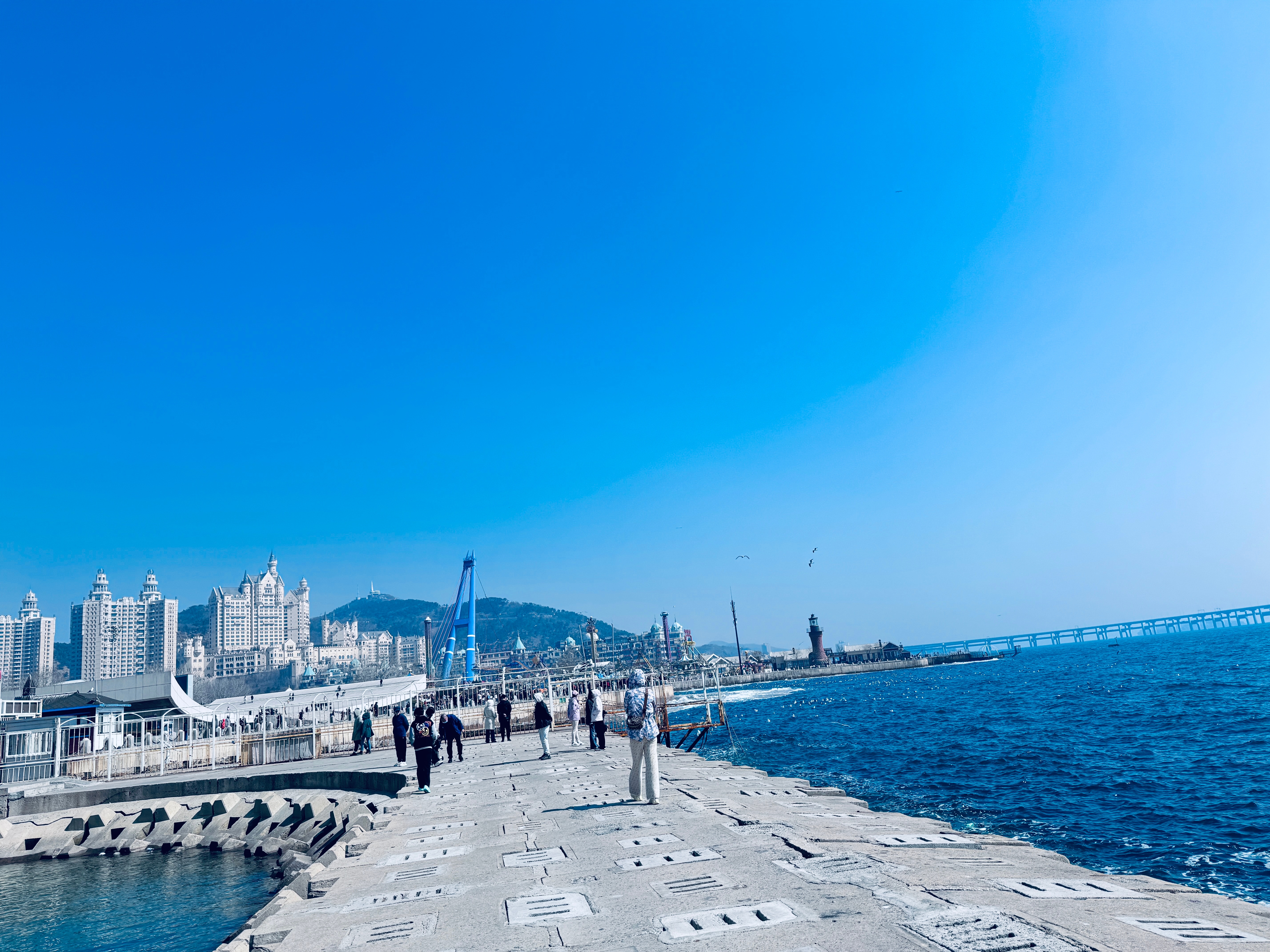 大连，海滨城市的繁华画卷与独特魅力